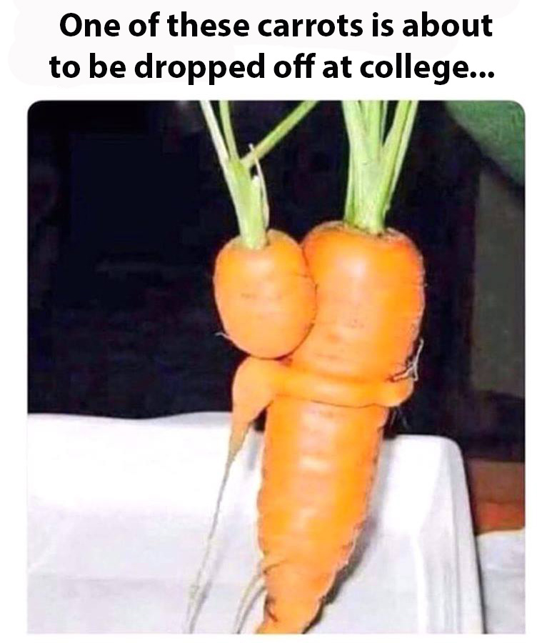 mom carrot